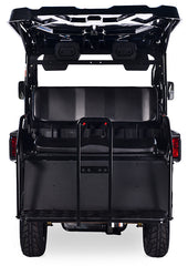 CROSSFIRE 200 EFI - GOLF CART
