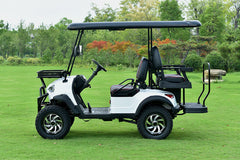 E BOLT-Electric Golf Cart