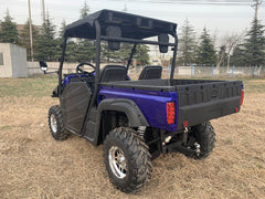 UTV 650 EFI