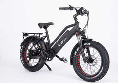VRT-B12 (Electric bike B12, 20 inches)