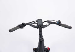 VRT-B12 (Electric bike B12, 20 inches)
