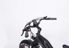 VRT-B12 (Electric bike B12, 20 inches)