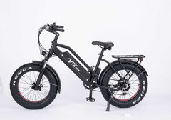 VRT-B12 (Electric bike B12, 20 inches)